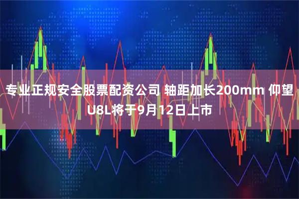专业正规安全股票配资公司 轴距加长200mm 仰望U8L将于9月12日上市