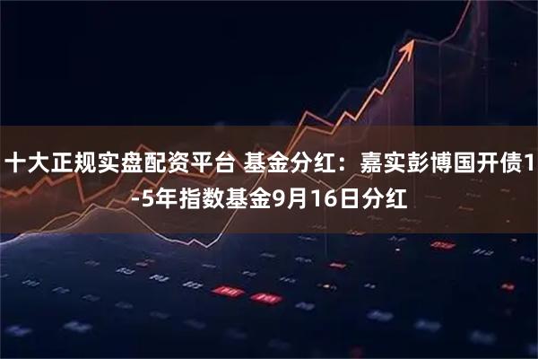 十大正规实盘配资平台 基金分红：嘉实彭博国开债1-5年指数基金9月16日分红
